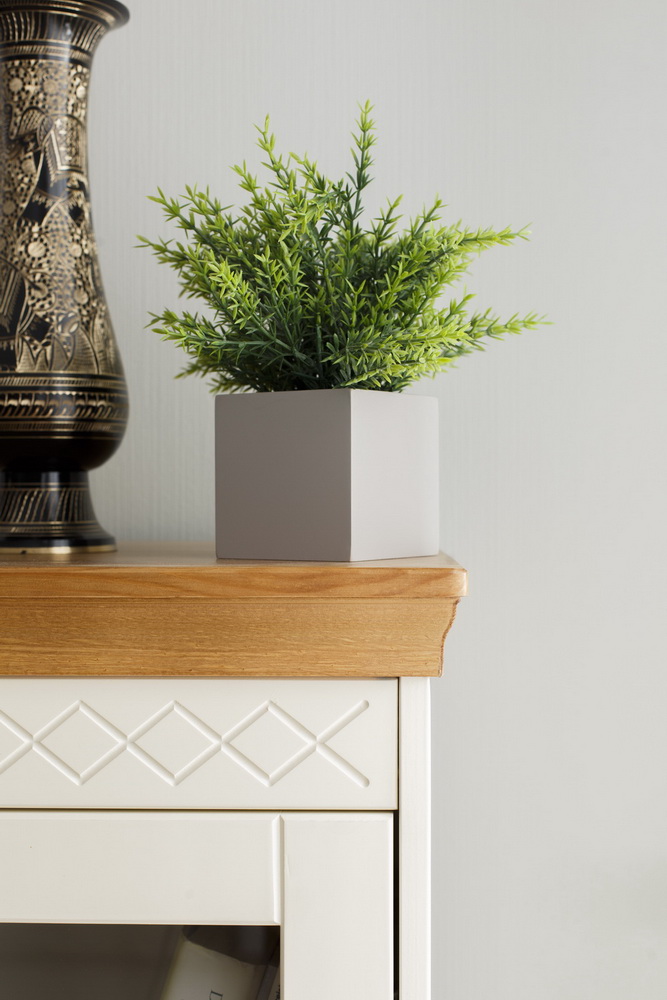 Сервант 1 створчатый Дания №1