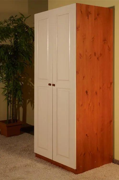 Шкаф Классик комбинированный